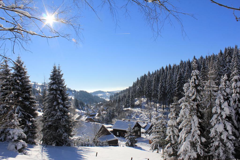Fw. Glashütte Anno Dazumal Klingenthal Habitación foto